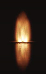  Scepter Nozzle Floating Display Aerator 
